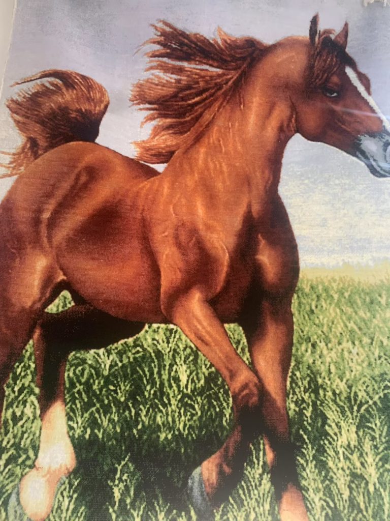 Equestrian & Tiger Hand-Woven Wool Art Rug Collection