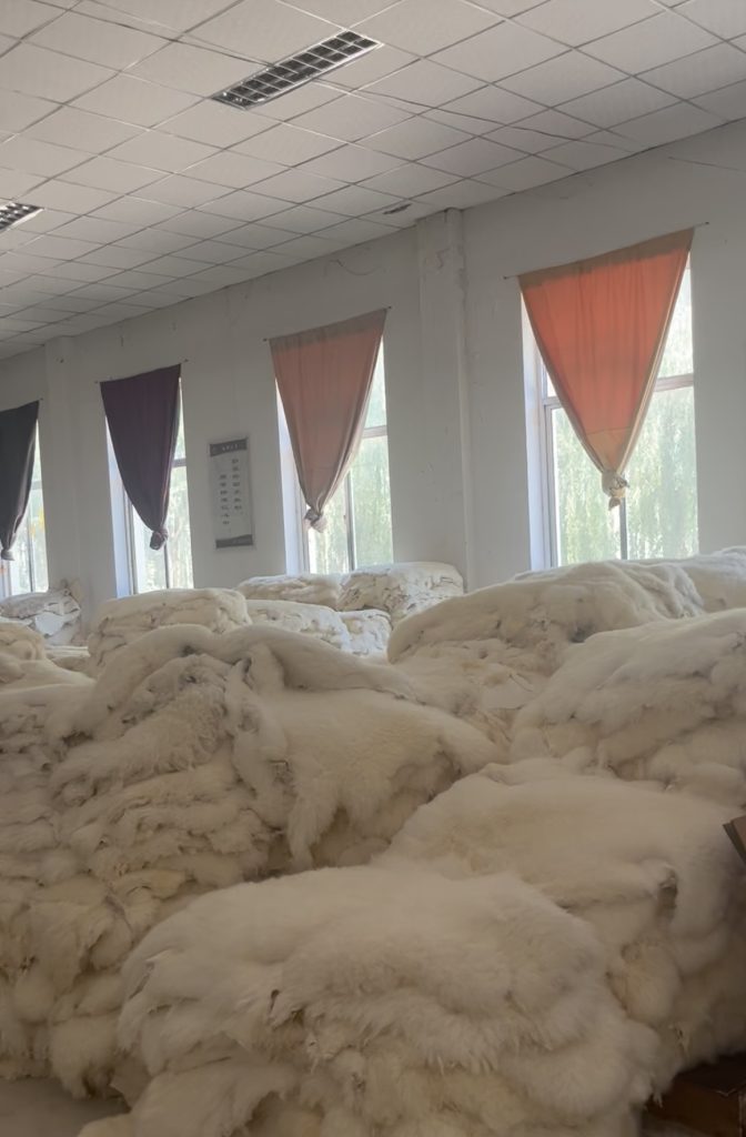 Prepared white sheepskin material in the workshop